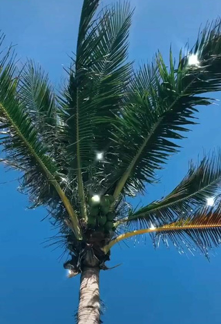 3. Erótica Olivia Dunne Con Bikini En La Playa