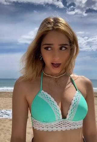 2. Linda Teressa Dillon Enseña Escote Con Encantadores Sujetador De Bikini En La Playa