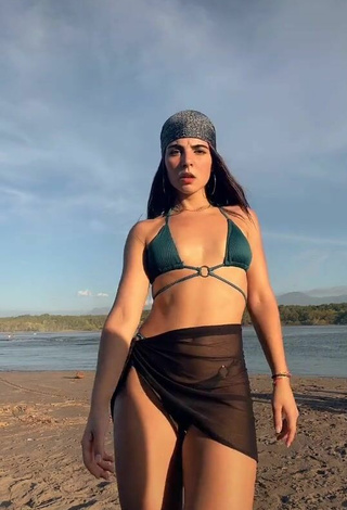 Sexy Adriana Daabub con Bikini en la playa