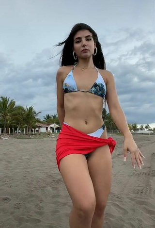 4. Preciosa Adriana Daabub Con Bikini En La Playa