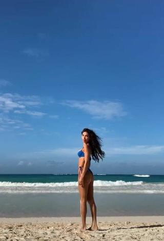 Caliente Chantel Jeffries Enseña el culo en la playa