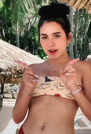 5. Más Caliente Dominik Elizabeth Reséndez Robledo Con Bikini En La Playa