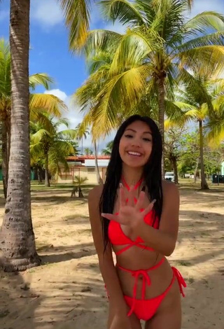 2. Atractiva Jazlyn G Con Seductores Bikini Rojo En La Playa