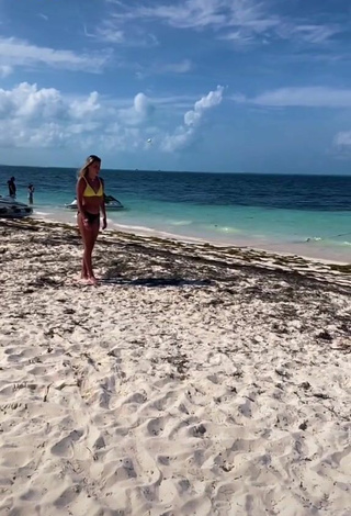 Sexy Jordan North con Sujetador de Bikini en la playa