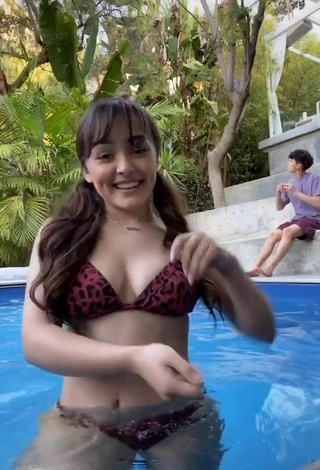 2. Caliente Hailey Orona Con Bikini Leopardo En La Piscina