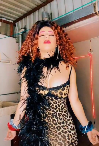 3. Caliente Lizbeth Rodríguez Enseña Escote Con Vestido Leopardo